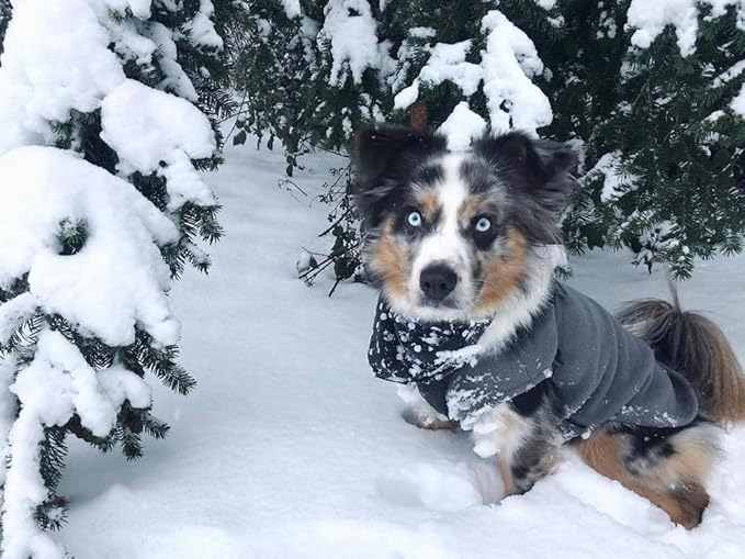 Gooby Stretch Fleece Vest Dog Sweater - Gray, Medium - Warm Pullover Super Stretchy Fleece Dog Jacket for Small to Large Dogs