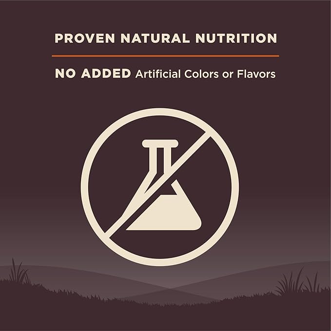 Wellness CORE Adult Dry Dog Food, Grain Free Kibble, Natural, High Protein, Turkey and Chicken Recipe, 26 lb Bag