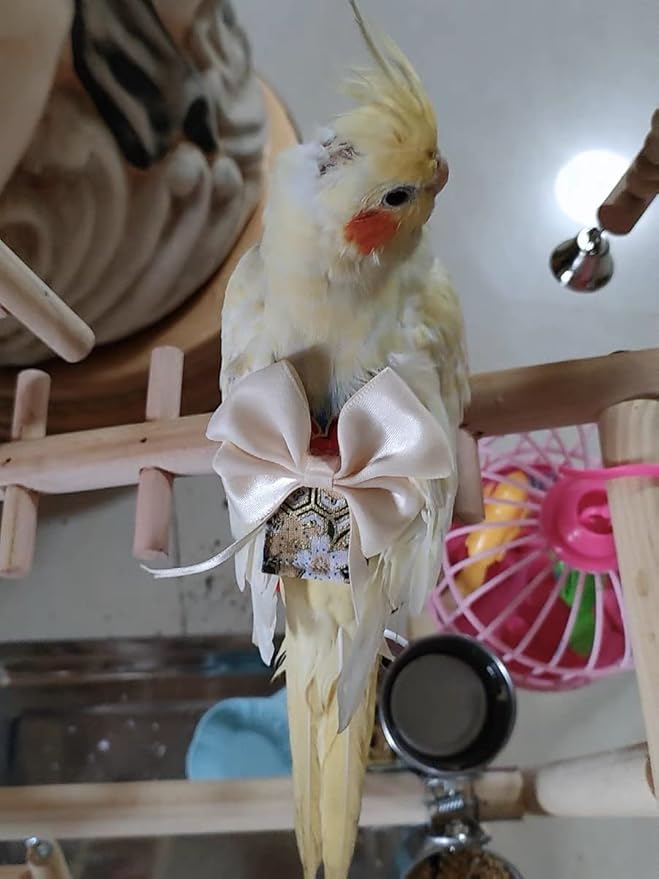 Bird Flight Suits Diapers, Parrot Diapers for Monk Parakeets, Cockatiels, Parrot Clothes Costume, Bird Training Nappy Suit Liners Clothes (Small,Light Pink)
