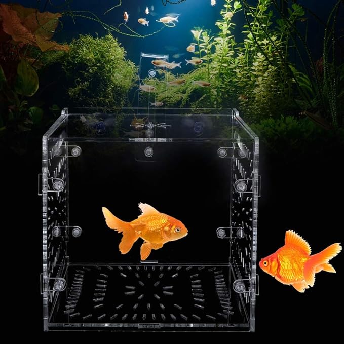 Fish Tank Breeding Box Acrylic Isolation Incubation, Adjustable Height, Transparent - Durable Material, Stable Attachment, Ideal for Aggressive and Sick Fish (15CM*15CM*15CM)
