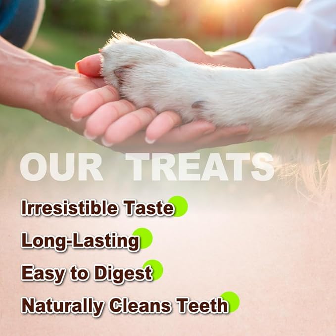 A Freschi srl Turkey Tendons for Dogs, Long-Lasting, Hypoallergenic Rawhide Alternative, Human Grade, Healthy Puppy Chews, Natural Dog Treats for Small Dogs, Strips, 10 Pack Box