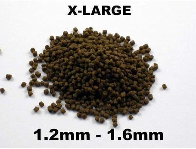 Bassleer Regular BioFish Food - Formulated for Optimal Fish Health (XX-Lrg, 170g)