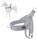 Plutus Pet No Pull Dog Harness with Breathable Mesh Padded, Adjustable Reflective Escape Proof Dog Harness, Quick Fit Dog Vest Harness for Small Medium Large Dogs(XXS, Gray)