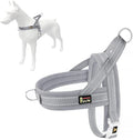 Plutus Pet No Pull Dog Harness with Breathable Mesh Padded, Adjustable Reflective Escape Proof Dog Harness, Quick Fit Dog Vest Harness for Small Medium Large Dogs(XL, Gray)