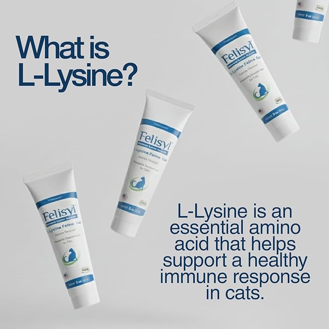 L-Lysine Gel for Cats & Kittens (5oz) – Immune System, Respiratory & Eye Health Support. Reduces Sneezing, Runny Nose & Watery Eyes. Daily Salmon-Flavor Supplement – Made in USA (1 Pack)
