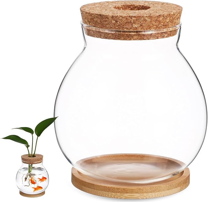 Balacoo Desktop Hydroponic Fish Bowl - Clear Glass Fish Tank with Bamboo Cushion and Wood Lid, Small Betta Fish Plants Terrarium for Home and Office Plant Decoration