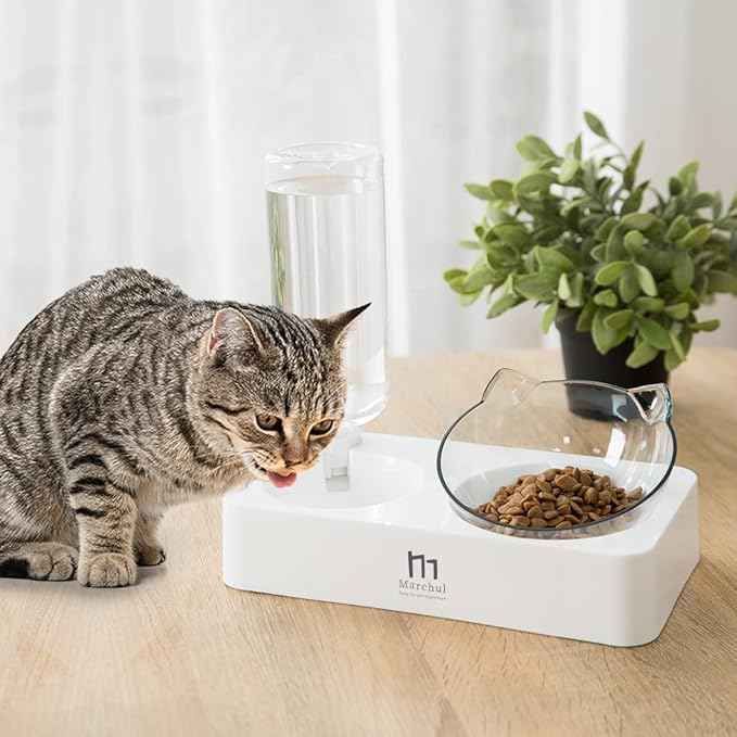 Marchul Double Elevated Dog Cat Bowl, Pets Water and Food Bowl Set, 15° Raised Tilted Dishes Indoor for Kitten, Puppies, Small or Medium Size Dogs Cats