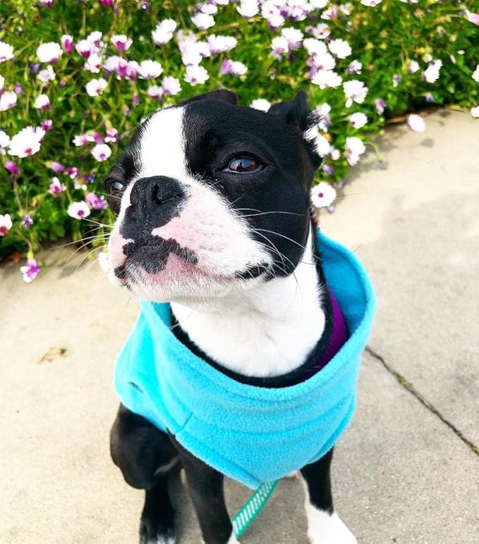 Gooby - Stretch Fleece Vest, Pullover Fleece Vest Jacket Sweater for Dogs, Mint, X-Small