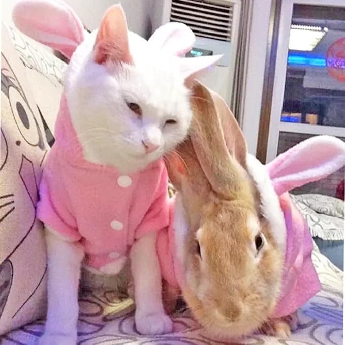 ANIAC Bunny Ears Cat Costume Plush Dog Hoodies with Pocket Sweater Cute Kitten Cat Clothes Warm Rabbit Ears Outfit with Hood for Small Dog Cat and Puppy (Pink-2, Large)