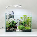 Nano Aquarium Kit 2.2 Gallon, Rimless Glass Betta Fish Tank with Filter & LED Light, 12" x 6" x 8" Small Desktop Fish Tank for Home Office (Transparent, Essential)