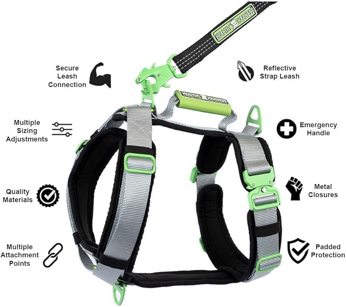 Ultimate Urban Premium Dog Harness - No Choke/Pull/Escape Dog Harness with Adjustable Padding, Heavy Duty, Easy On/Off, High Strength Buckles, Emergency Handle and 3 Connect Points (Green, XL)