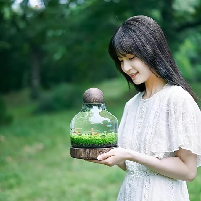 Glass Aquarium, Miniature Landscape Terrarium Glass Fish Tank with Wooden Base, Modern Betta Fish Tank, Small Aquarium for Home and Office Decoration,XL