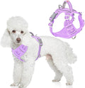 BARKBAY Dog Harness No Pull with ID Tag Pocket - Heavy Duty, Reflective, Easy Control for Large Dogs(Violet Purple,XS)