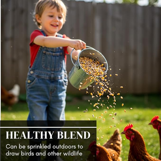 CZ Grain Premium Scratch Grains Bird Feed - Corn, Sunflowers, Wheat, Oats, Barley, Milo and Millet - Well Balanced Mix for Great Nutrition for Chickens and Ducks (8 Ounces)