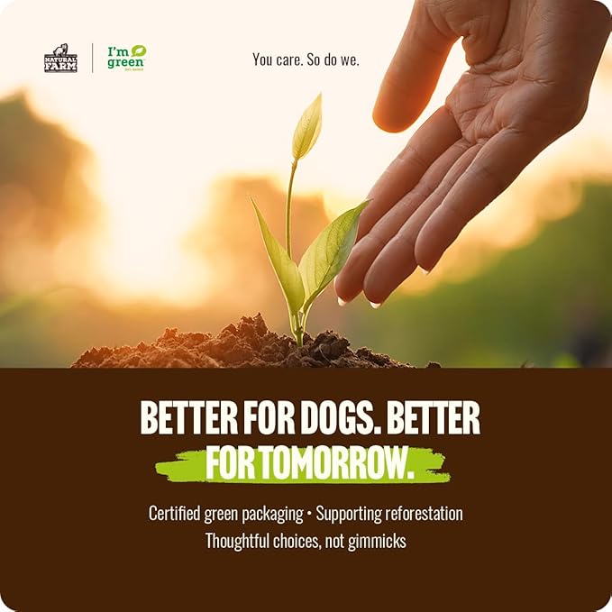 Natural Farm Odor Free Jumbo Bully Sticks (6 Inch, 12 Pack), Extra-Thick Dog Treats – Fully Digestible 100% Beef Treats, Natural Dental Chews – Keep Your Dog Busy with 50% Longer Lasting Chews