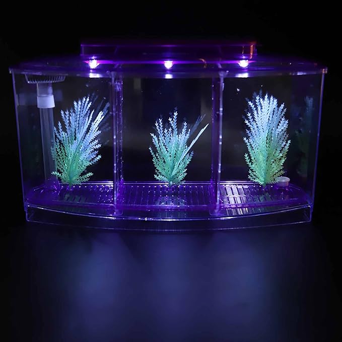 GLOGLOW TripleChamber Fish Breeder Box for Aquarium, Breeding Tanks Transparent LED Acrylic Small Fishes Breeding Isolation Box with Six LED Lights and Water Change Valve Breeder (Purple)