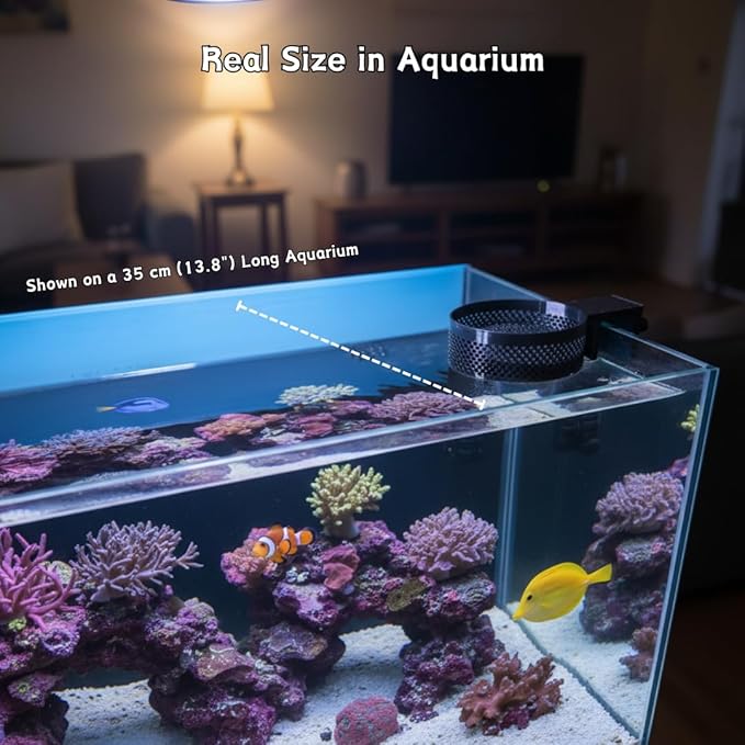 Aquarium Water Change Diffuser – Spill-Proof Water Changer for Rimless & Rimmed Fish Tanks, Protects Substrate, Plants & Decorations, Safe for Fish and Shrimp (Black, Medium)