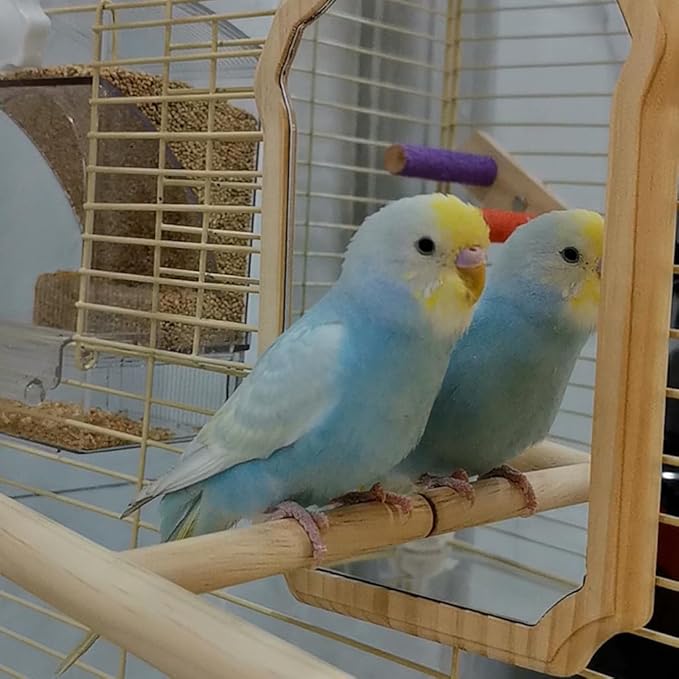 Mirror with Perch for Parrots, Wooden Standing Bird Mirror Toy Chewing Perch with Reflective Mirror for Cockatiel, Lovebird, Parakeet, Bird Cage Accessories ﻿ (Small Mirror 15cm)
