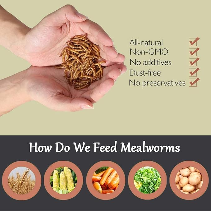 Non-GMO Dried Mealworms 5LB,100% Natural Large Size No Moisture,Treats for Birds Chickens Hedgehog Hamster Fish Reptile Turtles..