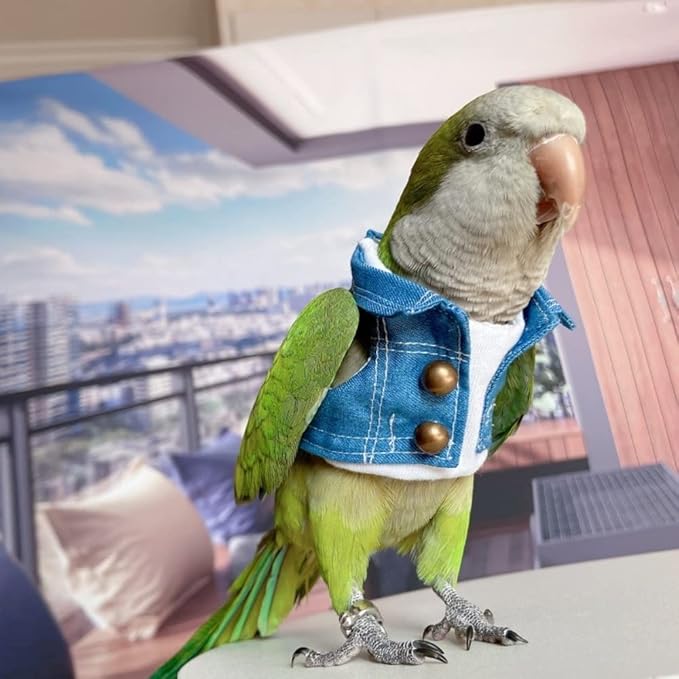 Bird Costume Bird Diaper Flight Suit Bird Jeans Fake Two Pieces Bird Clothes Cosplay Photo Prop for Parrots Lovebird Parakeet Cockatiel Small Animals Apparel (with Diaper,Amazon)