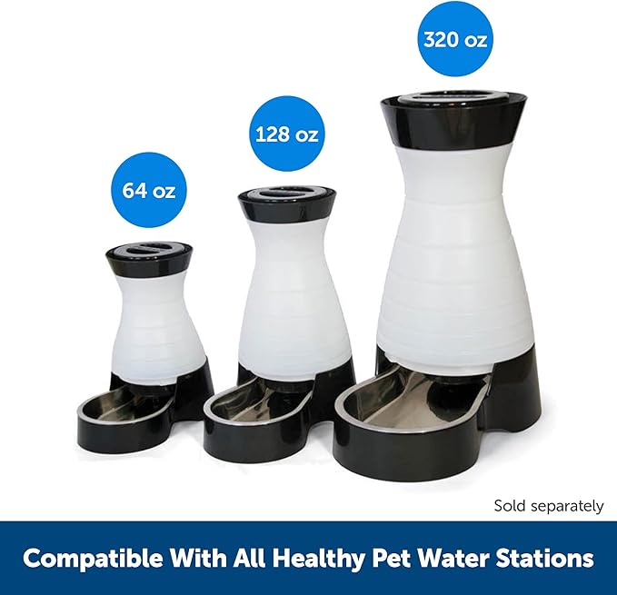 PetSafe Healthy Pet Water Filter, for Healthy Pet Water Station for Dogs and Cats (Pack of 6)