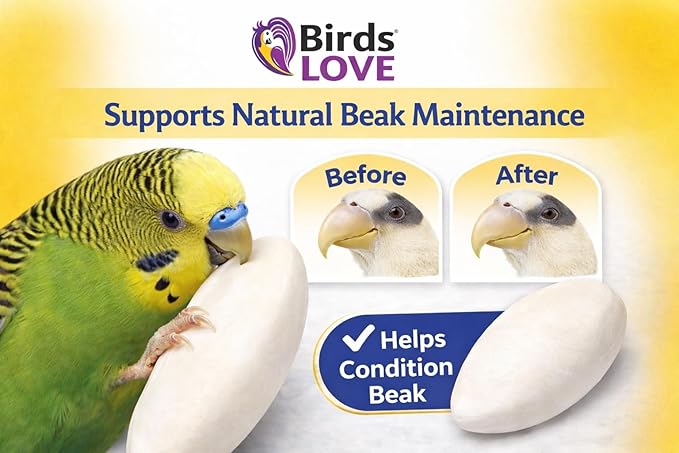 Birds LOVE 3.5-4″ Cuttlebones for Birds – 100% Natural Sun-Dried Calcium & Beak Conditioning Supplement for Parakeets, Budgies, Cockatiels, Finches & Canaries – 4 Pack with Holder – Made in Vietnam