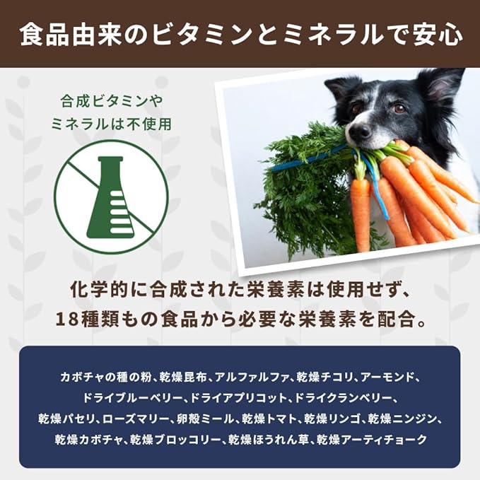NATURE'S LOGIC Dry Dog Food - 100% Natural - No Synthetics - for All Ages, Sizes, Breeds - Free from Common Allergens, High Protein - Pork Meal Feast, 4.4lbs