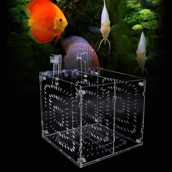 Fish Tank Breeding Box Acrylic Isolation Incubation, Adjustable Height, Transparent - Durable Material, Stable Attachment, Ideal for Aggressive and Sick Fish (20MC *20CM*20CM)