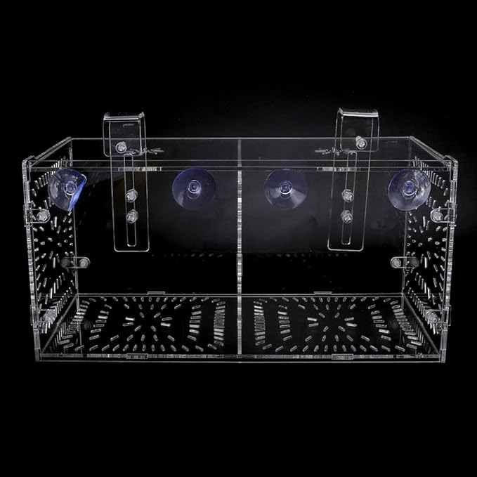 Fish Tank Breeding Box Aquarium Isolation Box Transparent Acrylic Fish Tank Incubation Box for Aggressive Injured Sick Fish Shrimp 15x15x15cm 30x15x15cm 20x20x20cm (30CM*15CM*15CM)