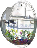 Wall-Mounted Acrylic Fish Bowl - Transparent Hanging Fish Tank & Planter for Home and Office Decor(Mirror)