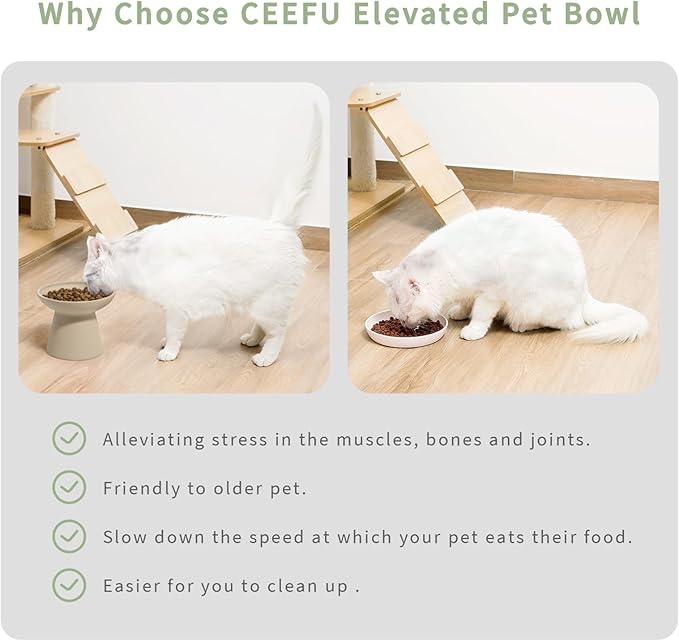 Extra Wide Elevated Ceramic Cat Bowl - 6.2" Shallow Dish for Whisker Fatigue Relief, 5" Height for Easy Feeding, Lead & Cadmium Free, Durable Raised Cat Food Bowls, Pottery Clay (Not Glazed)