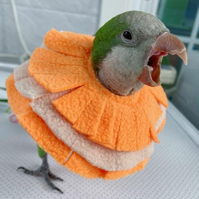 Bird Collar Anti Bite Elizabethan Recovery Cone, Bird Neck Protector for Feather Plucking, Bird Neckwear Full Body Shield for Parakeet Color Randomly (Sun Conure)
