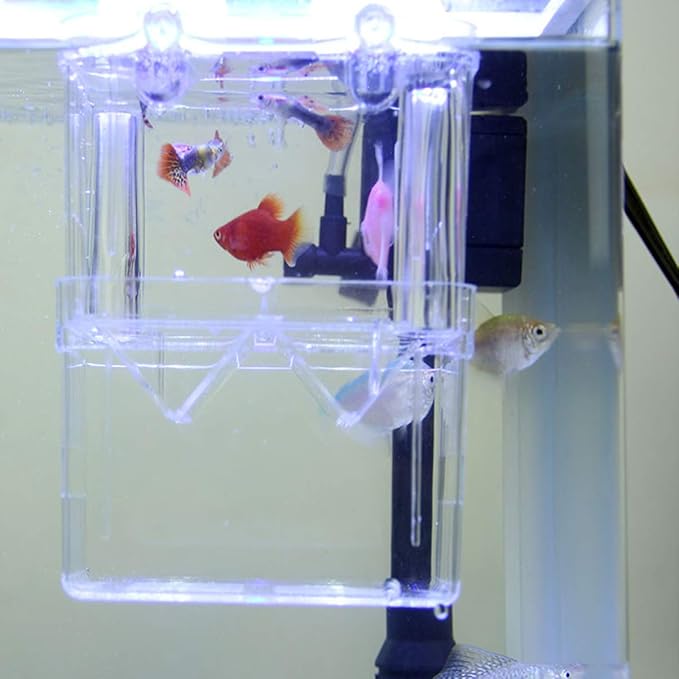 POPETPOP Aquarium Breeder Box - Floating Breeder Box for Fish Tank Durable Aquarium Breeding Hatchery Incubator Isolation Box Tank for Fish Breeder