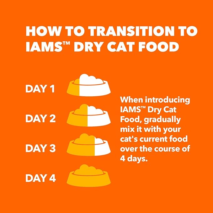 IAMS Healthy Enjoyment Dry Cat Food Chicken & Salmon Recipe, Cat Food Dry Recipe, 6 lb. Bag