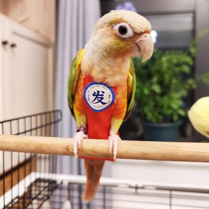 MANON ROSA Bird Diapers Leash Set Washable Reusable Handmade Flight Suit Waterproof Inner Layer - Protective Parrot Nappy Clothes Parakeets Macaws Budgies Canaries (Black3,Myna)