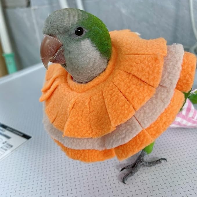 Bird Collar Anti Bite Elizabethan Recovery Cone, Bird Neck Protector for Feather Plucking, Bird Neckwear Full Body Shield for Parakeet Color Randomly (Eclectus)