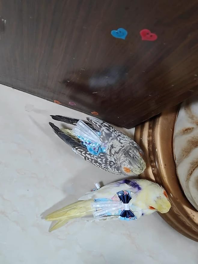 Bird Flight Suits Diapers, Parrot Flight Suits Diapers for Monk Parakeets Cockatiel Conure Lovebird Budgie, Parrot Clothes, Bird Training Nappy Suit Liners Clothes (Medium,Blue-A)