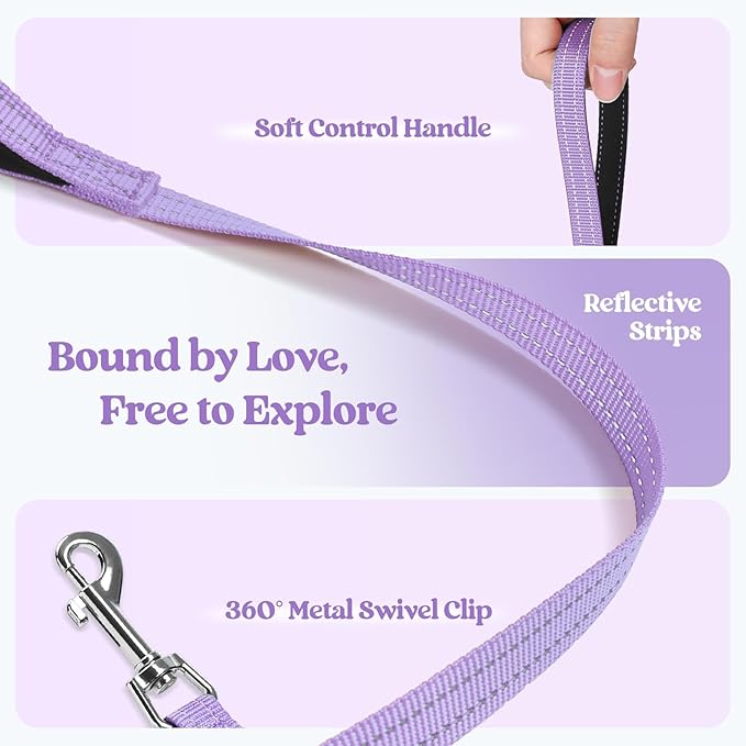 rabbitgoo Dog Harness Small Sized and Leash Set, Step in Soft Light Puppy Vest, Breathable Mesh Pet Harness, Reflective for Safe Easy Walking, Light Purple XXS