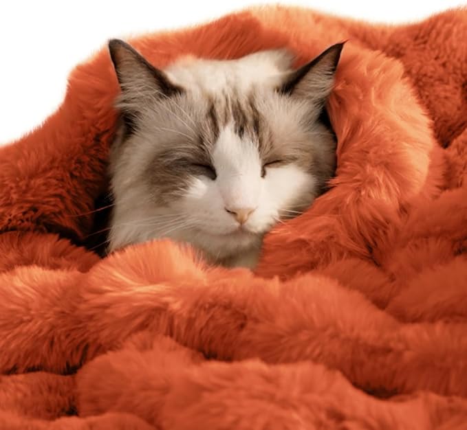 Self-Warming Cat Blanket for Indoor Cats & Small Dogs, Dual-Side Sherpa Plush Throw, Anti-Static Shared Couch Mat for Crate & Travel, Machine Washable No Shrink, 28x22 Inch Orange