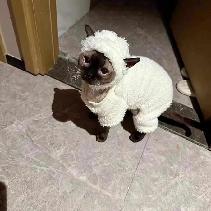 Warm Fleece Lined Winter Clothing for Sphynx & Devon Rex Cats | Soft Faux Lamb Wool | Cozy and Comfortable (Sheep Costume,XL About 4-4.5kg/8.8-9.9pounds)