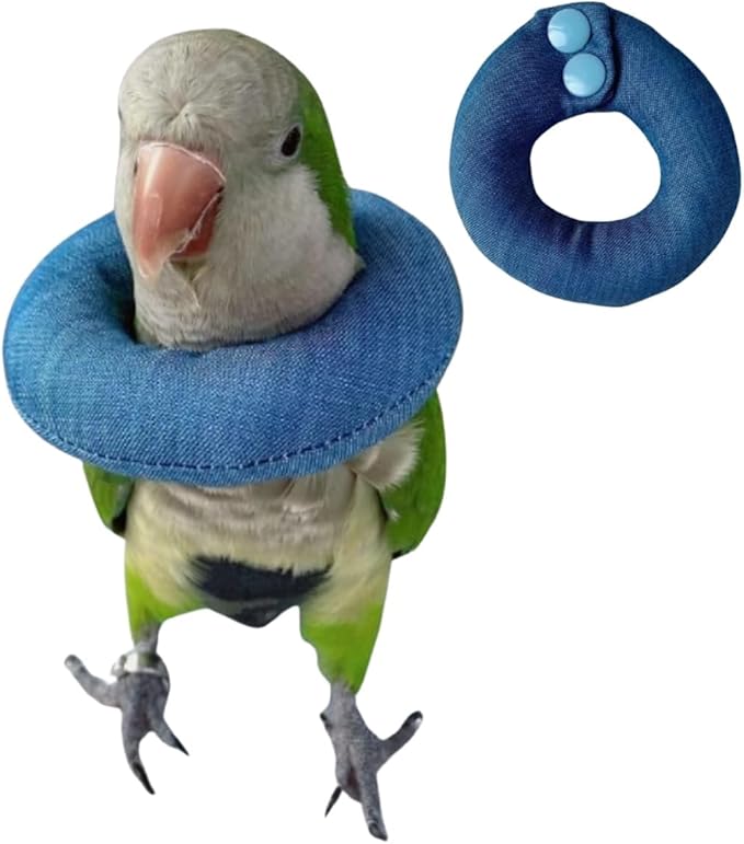 Parrot Neck Collar Pet Anti-bite Picking Feather Healing Protective Neck Cover Collar for Birds Conures Cockatiels Lovebirds Budgies Cockatoos African Grey Random Color (2XL)