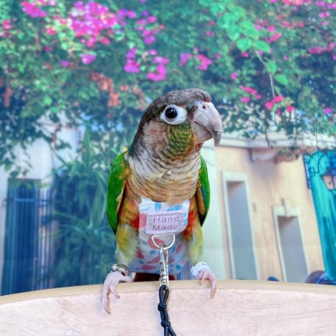 Bird Clothes Parrot Diapers Bird Flight Suits, Reusable Waterproof Diapers pet Bird Supplies (Without Rope, S)
