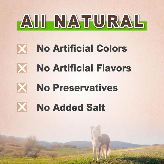 A Freschi srl Turkey Tendons for Dogs, USA-Sourced, Healthy Dog Treats, Rawhide-Free Puppy Chews, Long Lasting, All Natural, Hypoallergenic Dog Treats, Coil (L), 3 oz Pack