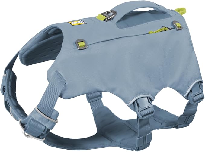 Ruffwear Palisades Dog Backpack, Multi-Day Pack with Removable Saddlebags, Breathable Adjustable Harness, Reflective Trim, Glacier Lake, Small