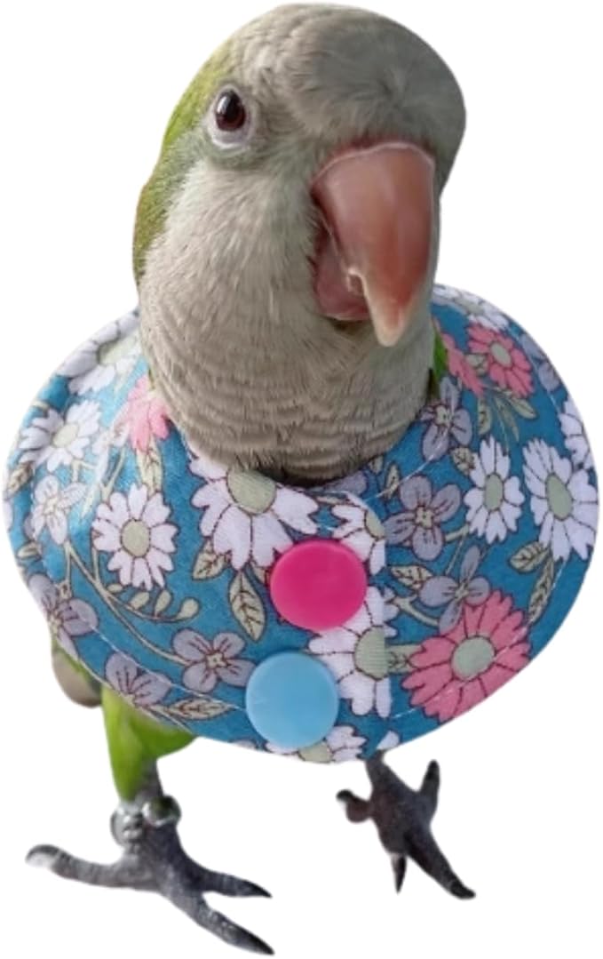 Bird Collar - Anti-Bite Elizabethan Recovery Cone Feather Plucking Protector Skin-Friendly Neckwear for Parakeets Conures Cockatiels Lovebirds Budgies Cockatoos African Grey Random Color (2M)