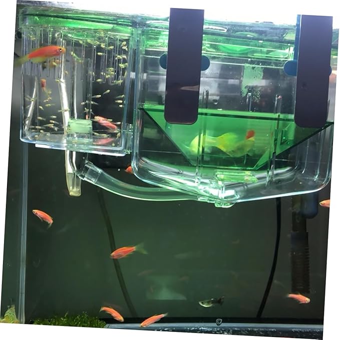 Isolated Breeding Tank for Fish Transparent Incubator Box Protects Newborns Pregnant Fish for Aquarium Use Enhances Survival Rates