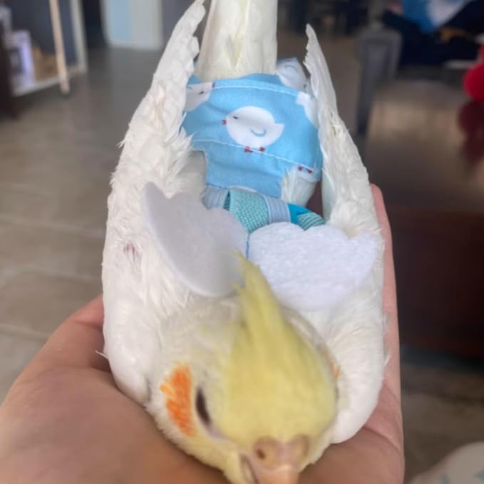 Adjustable Bird Diaper Harness Flight Suit Clothes with 80 Inch Flying Leash Rope for Parrots Conure Cockatiel (Blue,M)
