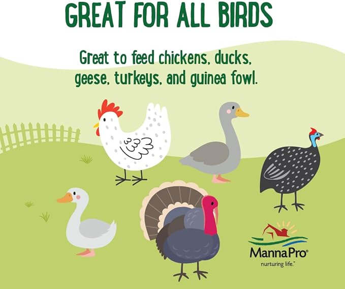 Manna Pro Farmhouse Favorites Mealworms Poultry Treat - Protein Treat for Poultry - Chickens, Turkeys, Ducks, Geese, and Guinea Fowl - Contains 50% Protein - 100% Natural Poultry Snack - 10oz