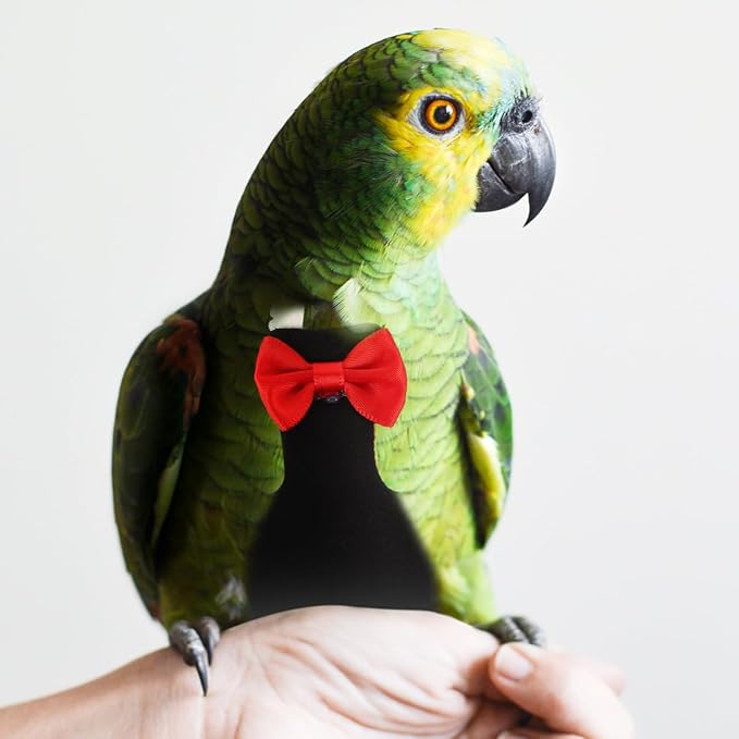 POPETPOP Flying Bird Diapers - Rubber Chew Stick & Cotton Suit for Cockatoo, Parrot & Other Flight Birds