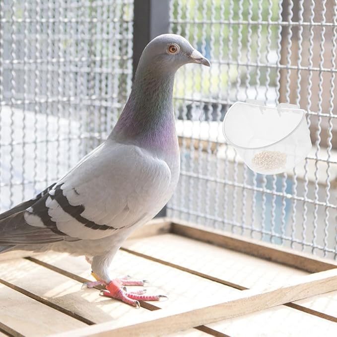 PRETYZOOM 6pcs Large Bird Cage Feeding Bowls Hanging Water Cups for Pigeon Cage Feeder Poultry Feeder Feeding Watering Supplies